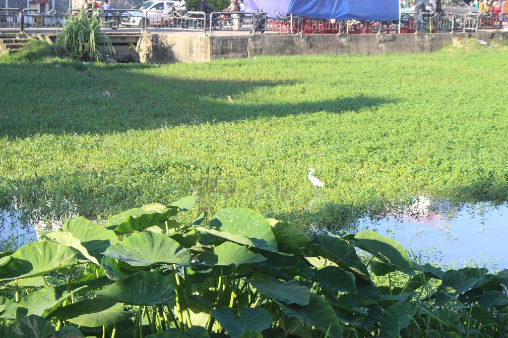 Hoi An Green View Homestay & Villa Exterior foto