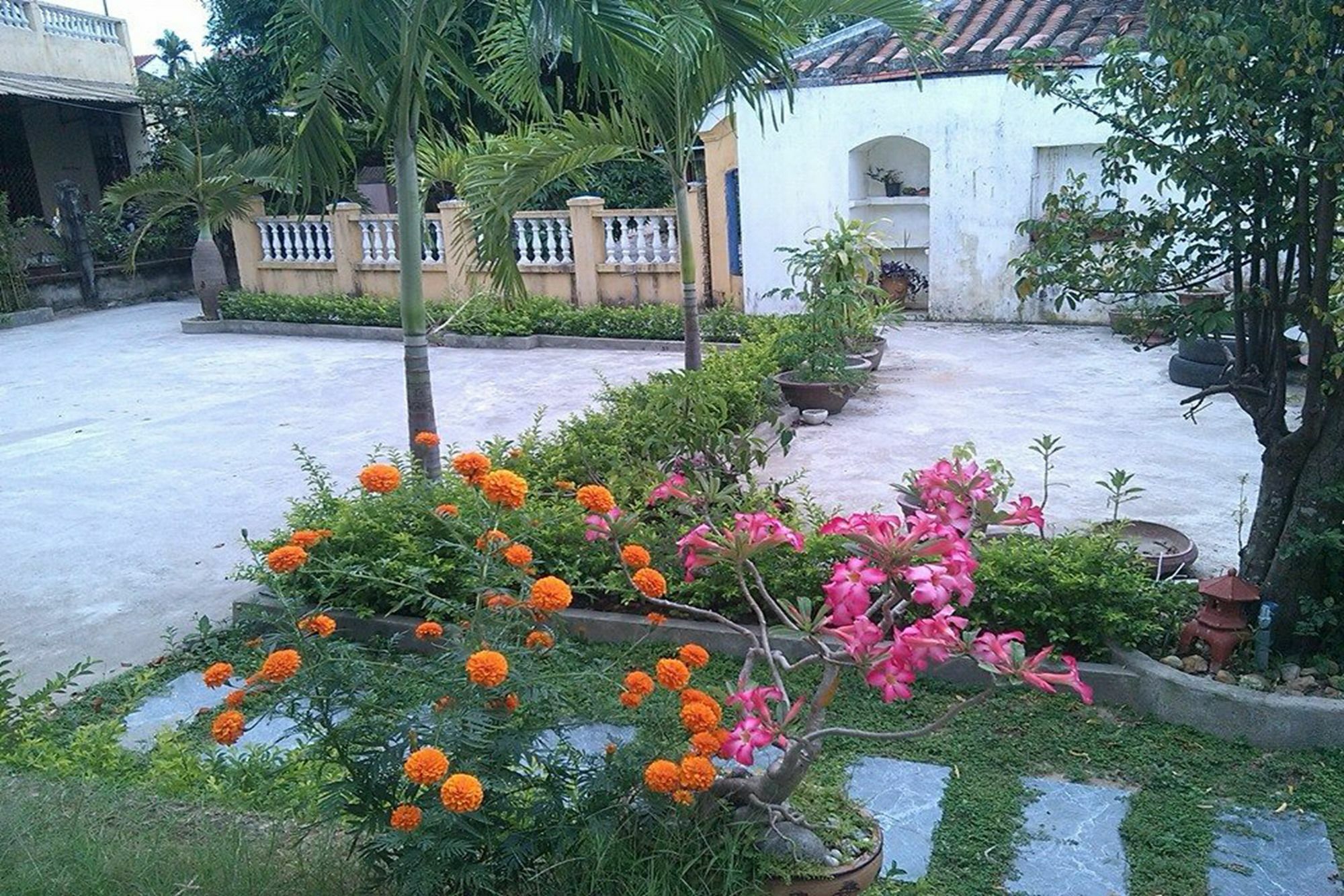 Hoi An Green View Homestay & Villa Exterior foto